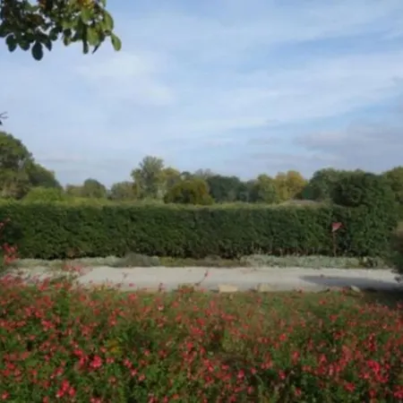 Virevent Carcassonne