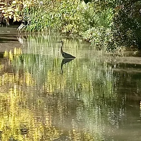 Casa vacanze Virevent