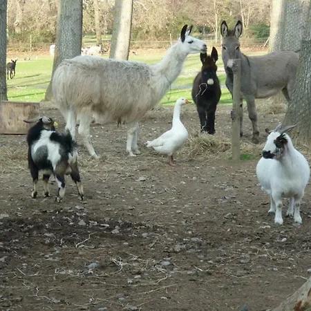 Casa vacanze Virevent *