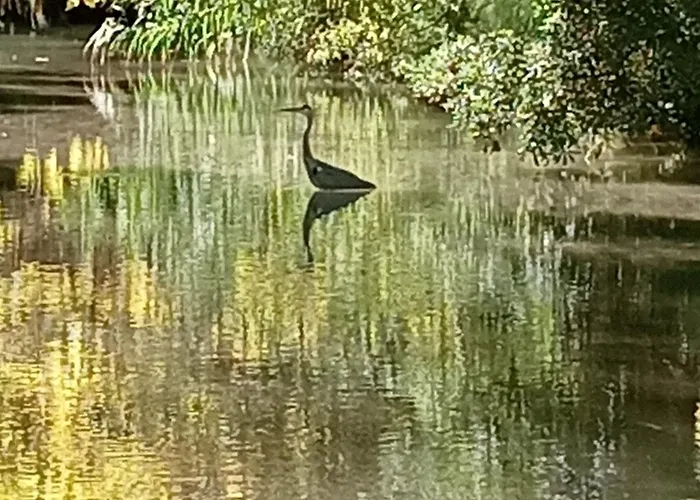 Σπίτι διακοπών Virevent