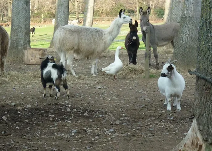 Σπίτι διακοπών Virevent *